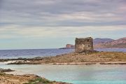 19-mai-2016-stintino-littoral-torre-de-la-finanza-isola-asinara-4.jpg